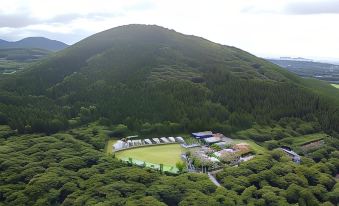 제주 베스트 힐 썸네일