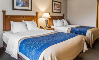 Comfort Inn & Suites Blue Ridge