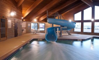 an indoor pool with a water slide , surrounded by wooden walls and a brick wall at AmericInn by Wyndham Mounds View Minneapolis