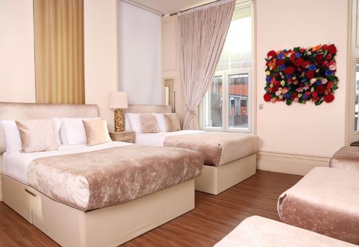 시그니처 리빙 볼드 스트리트