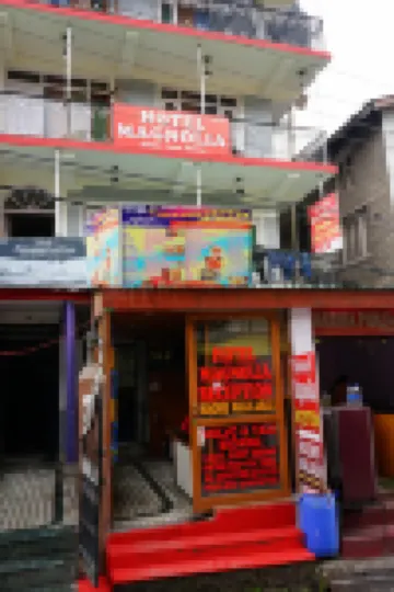 Hotel Magnolia Mallroad Manali