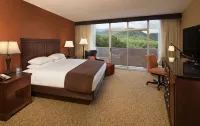 The Park Vista - a DoubleTree by Hilton Hotel - Gatlinburg Hotels near Ben Morton Overlook