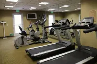 Holiday Inn Express & Suites TEHACHAPI HWY 58/MILL ST. by IHG - spa