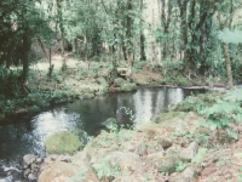 Habitación Y Baño Independientes