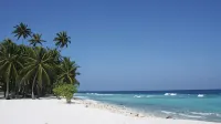 Turtle Inn Dharavandhoo Hotels in Dharavandhoo Island