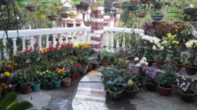 Madhumita Homestay Hotel a 