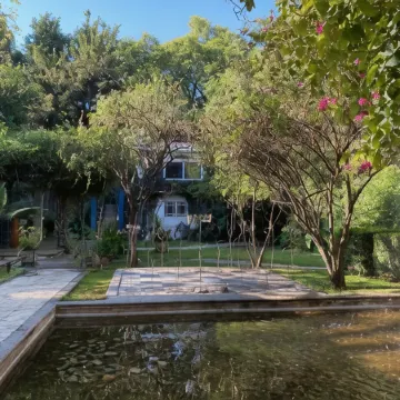 Magnolias Jardin & Boutique Suites