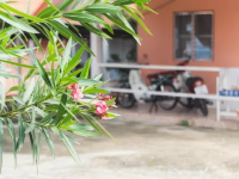 ฮ้ายรายวัน โรงแรมในอำเภอ จอมทอง