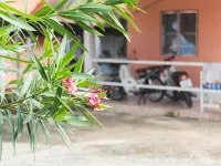 Haidaily Hotels in Chom Thong