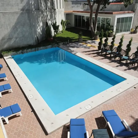 Hotel Las Dalias Inn