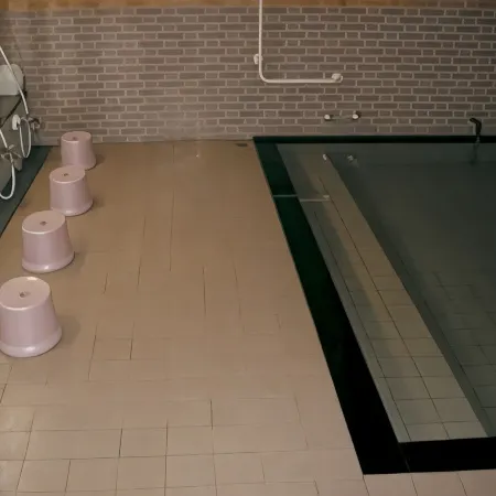 Onsen Minshuku Shirahamaya