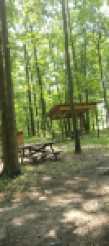 Cabin in the woods. Minutes to Pymatuning Lake.