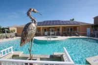 3 Bed Town Home with Splash Pool! Townhouse - Private Pool