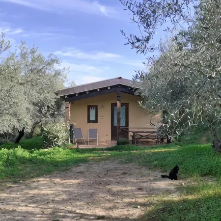 Agriturismo Terra di Pace