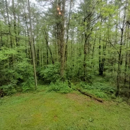 Beautiful Log Cabin - Psu Events - State Parks - Sleeps 6 to 8