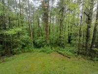Beautiful Log Cabin - Psu Events - State Parks - Sleeps 6 to 8