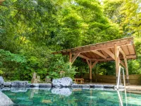 湯本富士屋酒店 - 浪漫/情侶