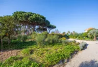 Fully restored garden apartment - 3-Star