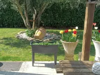 HOUSE 15 MIN. AWAY THE BEACHES OF THE ROYANNAIS COAST - IDEAL ENVIRONMENT FOR FAMILIES Hotels in Saujon