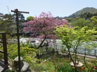 Oyado Matsubaya โรงแรมในมินาคามิ