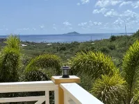 Paradise Palms! - Homestays