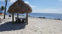 Spectacular Oceanfront Views , Free Wifi, HD Smart TV'S, Summer Special Rates