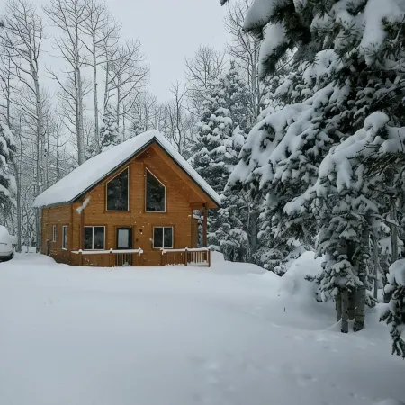 Cabin in the Pines surrounded by fun
