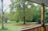 Shangri-La in Etowah:  a serene + cheerful cottage near Pisgah & DuPont Forests - Country Houses