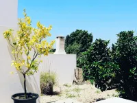Funky cottage for 2, patio, garden, mountainview. Coast 14 km. Rota Vicentina. Hotels in Cercal do Alentejo