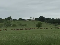 Red Deer Lodge HiBanks Ranch 12 minutes from Magnolia Silos