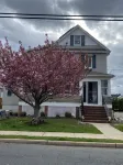 Beautiful sun filled 2 BR 3 blocks from beach- 2 beach passes- kids are free - Wi-Fi
