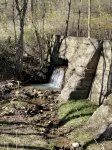 Ramblin Rose access Brimstone Rec, Brushy Mtn St Pen, Hist Scott CoJail, BSFNRRA - 무료 와이파이