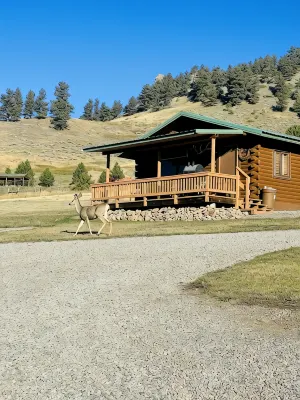麋鹿木屋 - 山景，可聽到湍急河水聲，私密，寵物友好 - 民宿