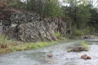 Escape To Nature’s Embrace:Uncle Joe's Creek Retreat - Click's Cabin - Alppimaja