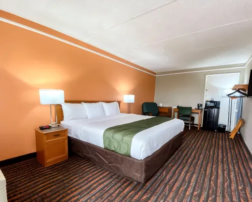 Quality Inn Harlingen Hotels in Harlingen
