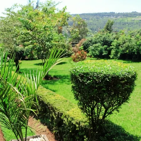 Rebero Resort Ltd