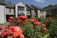 Brennan Court Guest Accommodation Hotels in 