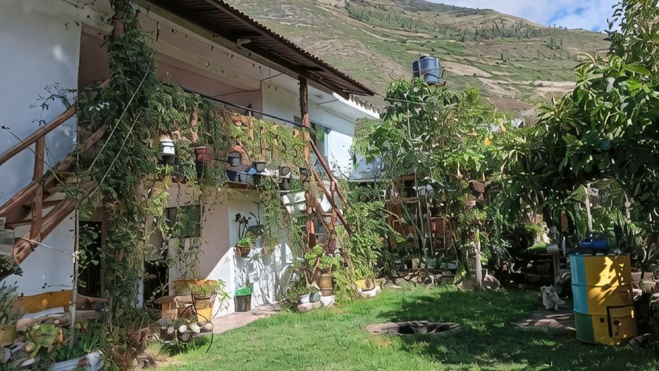 Art House Samiluce