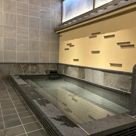 Matsumoto Ryokan
