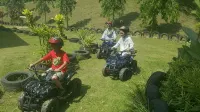 Amverton Heritage Resort - parking