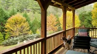 Tranquil Glen of Asheville - 20 mins from downtown - Wifi