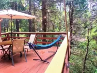 1940s Storybook Knotty Pine Cabin in Crestline, Absolute Privacy 크레스틀린 호텔