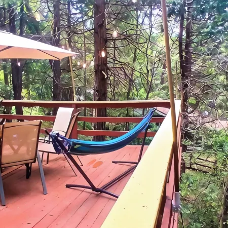 1940s Storybook Knotty Pine Cabin in Crestline, Absolute Privacy