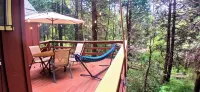 1940s Storybook Knotty Pine Cabin in Crestline, Absolute Privacy