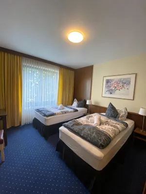 Hotel Regina - 駐車場