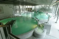 Termes Montbrio Hotel & Spa - suối nước nóng