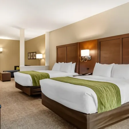 Comfort Suites San Antonio Ft Sam Houston-Sammc Area