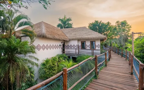 Mara River Safari Lodge Bali - Lodges