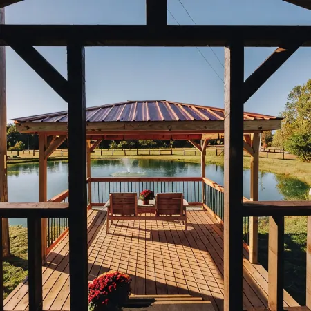 Tiny Cabin At The Pond