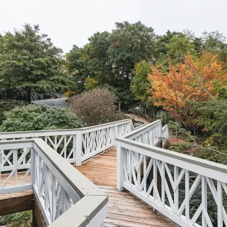 Enjoy all 4 seasons at this spacious, pet friendly home! Great views, sleeps 10